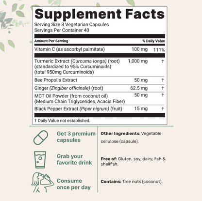 Alerea Pure Relief – Turmeric Curcumin Complex
